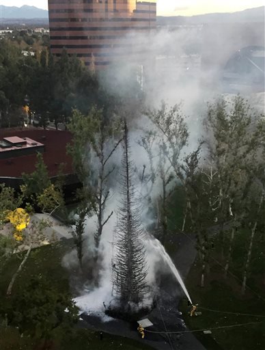 Christmas tree goes up in flames outside California hotel