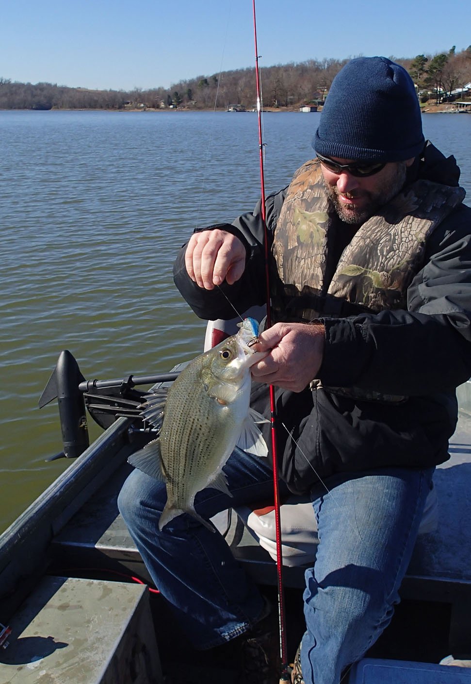 Best time of year to striper fish beaver lake Clearance
