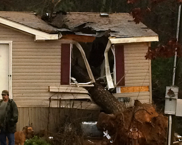 High winds and heavy rain caused a tree to fall on a home northeast of Atkins, killing an 18-year-old woman, the Pope County sheriff's office said. 