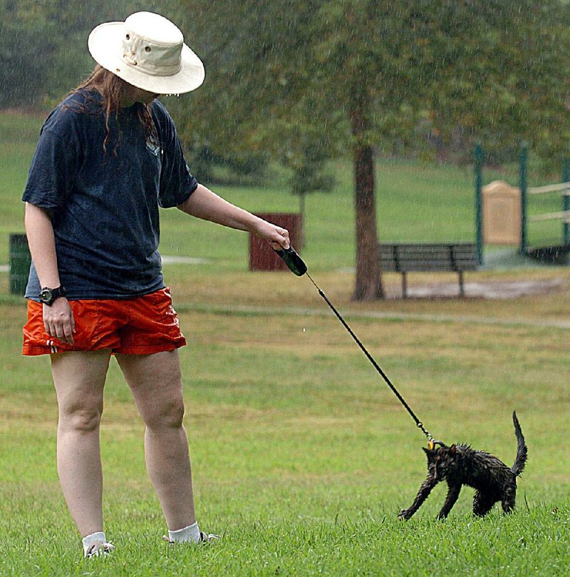 Dog Running To Be Thing Of The Past Come June