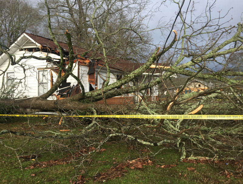 A downed tree in Bearden Monday morning.