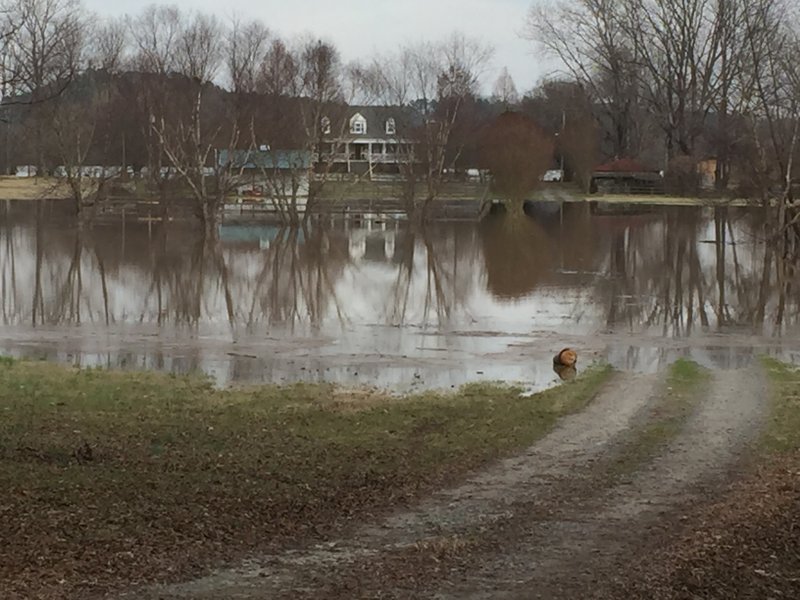 Flooding creeps up to homes along Beck Road off County Farm Road in Little Rock on Thursday, Dec. 31, 2015. 