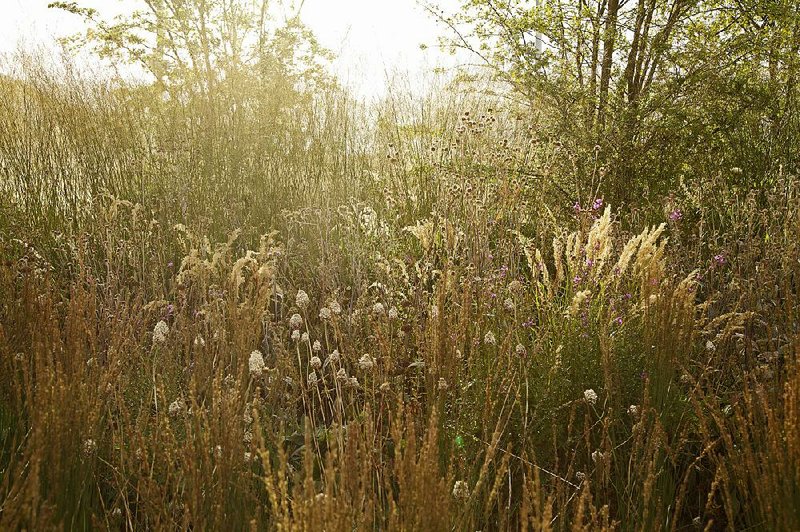 This is a design inspired by hay meadows at London’s Olympic Park.