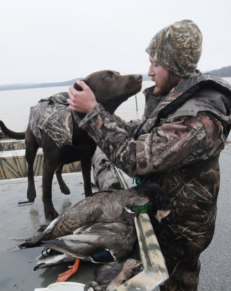 Russell Gardner and his retriever, Gunner, celebrate a nice take of ducks after a morning hunt at Beaver Lake. The daily limit is six ducks per hunter, but only four may be mallards.