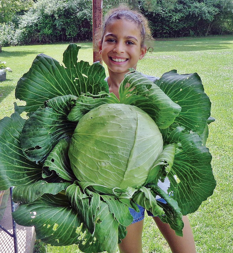 Carmen Galloway, 10, a fourth-grader at Lakeside Intermediate School in Hot Springs, received a $1,000 check from Bonnie Plants as the Arkansas winner of last year’s Kids Grow Green: Cashing in Cabbage national campaign for third-graders, which is part of the National Bonnie Plants Cabbage Program. 