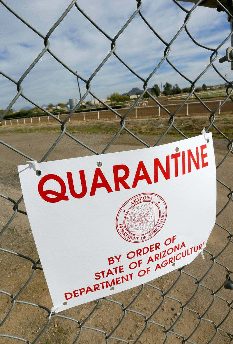 A quarantine warning is displayed outside the horse racing track at Turf Paradise, Friday, Jan. 29, 2016, in Phoenix. Turf Paradise has euthanized one horse and is quarantining two others in the wake of a herpes outbreak that surfaced in New Mexico.