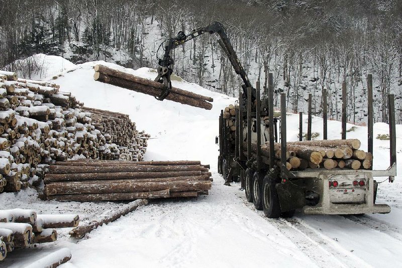 Lumberjack ranks thinning; job's unpopular, hard The Arkansas