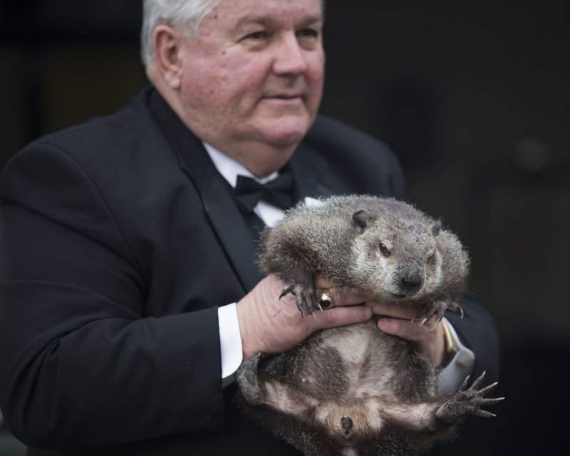 Inner Circle President Bill Deeley shows Punxsutawney Phil to tourists a day before Groundhog Day in Punxsutawney, Pa., on Monday, Feb. 1, 2016. Members of the Inner Circle planned to reveal their forecast at sunrise Tuesday. A German legend says that if a furry rodent sees his shadow on Feb. 2, winter will last an additional six weeks. If not, spring comes early. In reality, Phil’s “prediction” is decided ahead of time by the group. (Mark Pynes/PennLive.com via AP)
