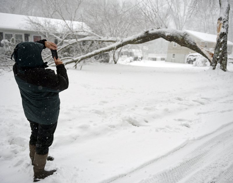 Susan Young snaps photos of the tree in her front yard that lost a large limb landing near her home on Simpson Lane in Montville, Conn., Friday, Feb. 5, 2016.  