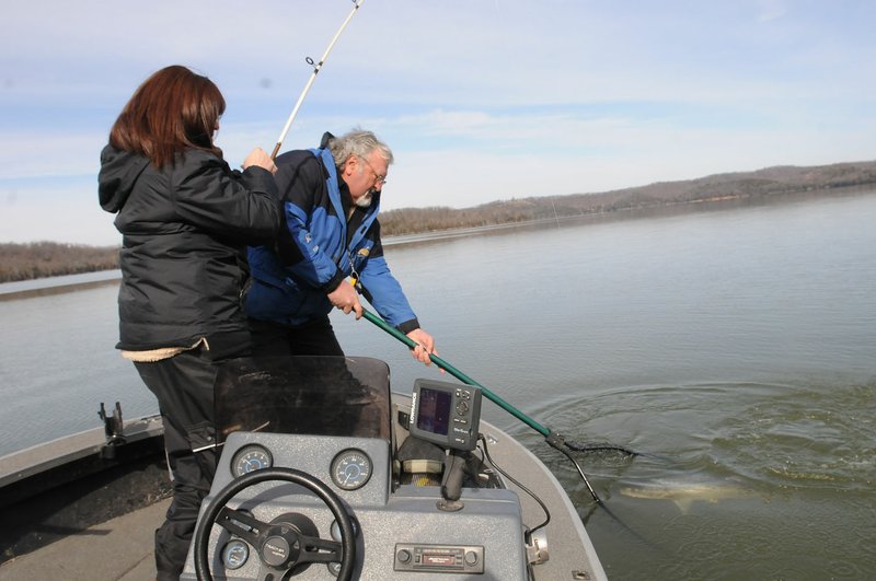 Denise Rivers catches a Beaver Lake striped bass while her husband, Kevin Rivers, nets the fish. The striper weighed 25 pounds.