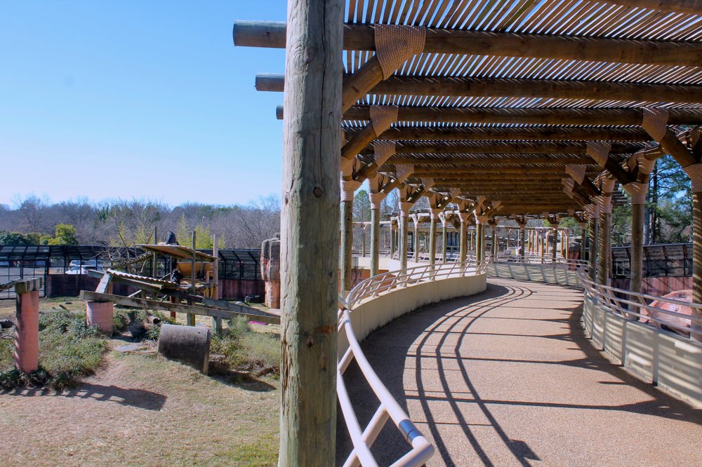 PHOTOS Little Rock Zoo adds safety measures nearly 2 years after boy fell into exhibit
