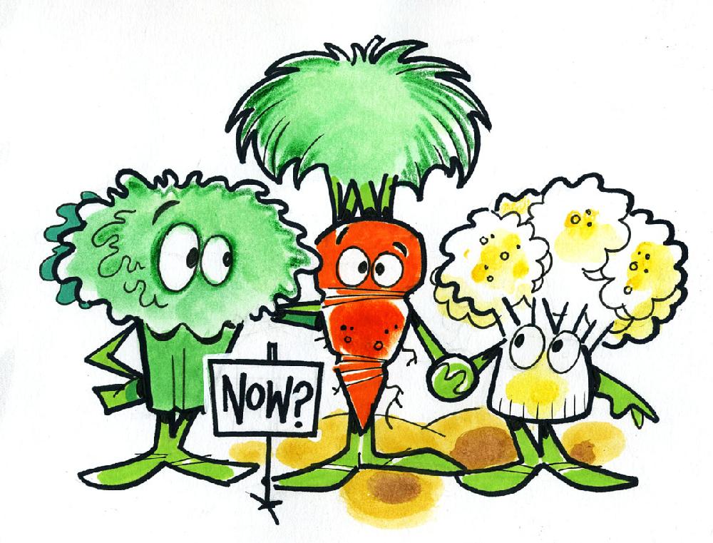 Healthy eating advice offered