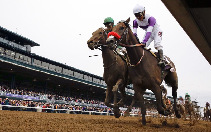 In this Oct. 31, 2015, file photo, Nyquist, front right, with Mario Gutierrez up, finishes ahead of Swipe, left, with Victor Espinoza up, to win the Breeders' Cup Juvenile horse race at Keeneland race track in Lexington, Ky. Nyquist is gearing up for his 3-year-old debut in the seven-furlong San Vicente at Santa Anita on Saturday, Feb. 13, 2016.