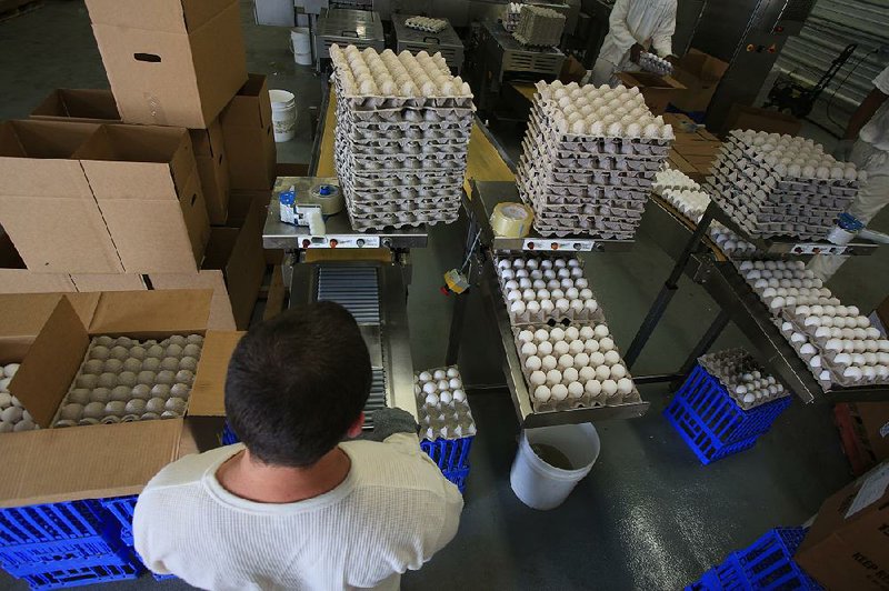 Inmates package eggs at the Cummins prison farm. Two-thirds of what the farm produces is consumed by inmates, and the rest is sold to outside vendors, Department of Correction officials say.