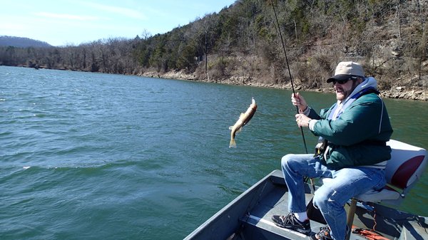 Anglers get early itch for walleye, white bass at Beaver Lake