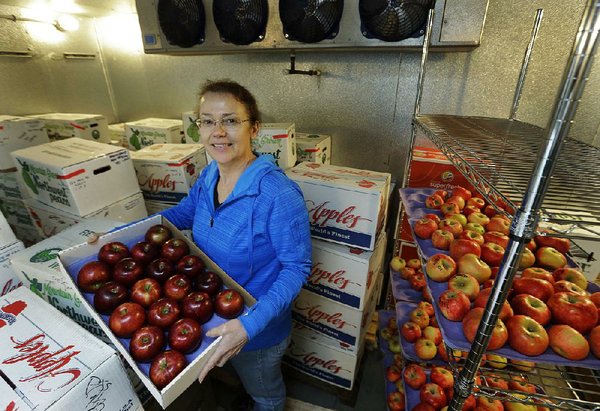 Washington bets big on new Cosmic Crisp apple - Fruit Growers News