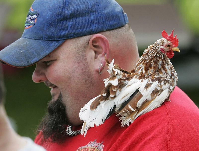 Proposed fowl limitations ruffle citizen's feathers | The Arkansas ...