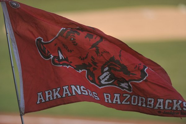An Arkansas fan waves a flag during the Razorbacks' game against Louisiana Tech on Tuesday, March 2, 2016, at Baum Stadium in Fayetteville.