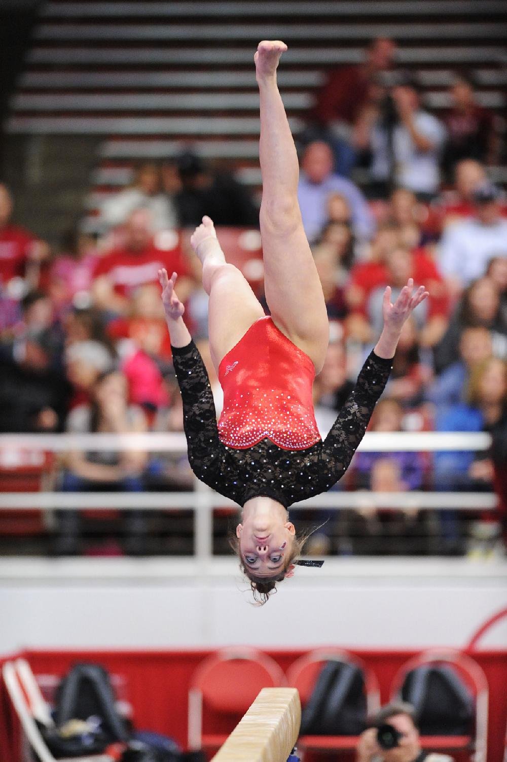 Arkansas Razorbacks Gymnastics