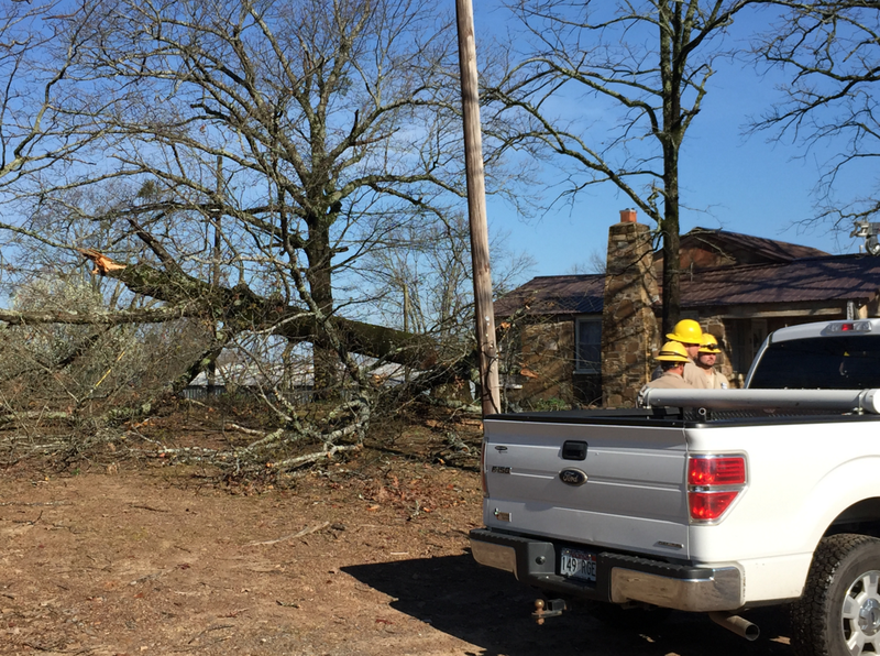 A severe storm toppled a tree in Wye.