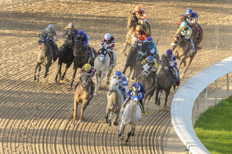 Cupid and jockey Martin Garcia, front center, leads the rest of the field onto the stretch of the Rebel Stakes horse race at Oaklawn Park in Hot Springs, Ark., Saturday, March 19, 2016. Cupid was the eventual winner of the race. 