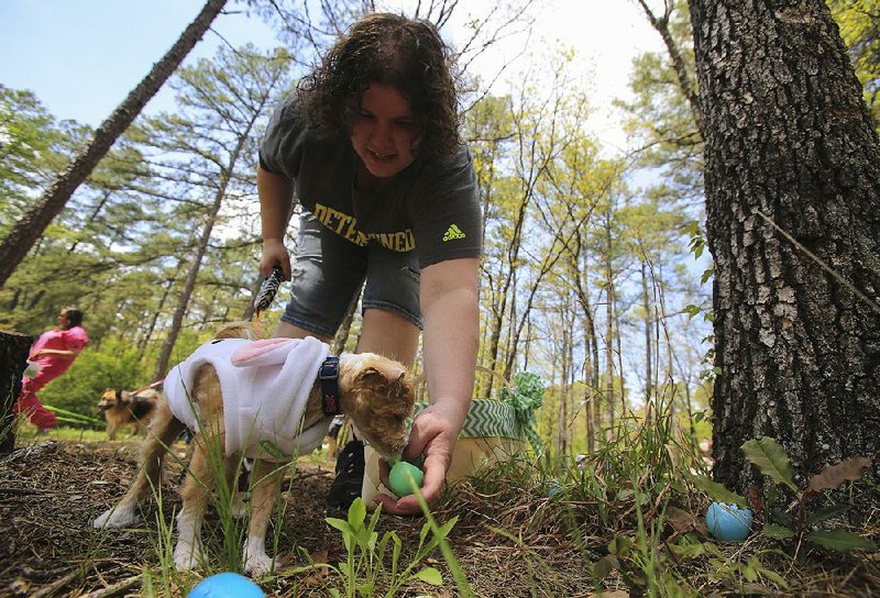 Dogs of all shapes and sizes will sniff out treat-laden eggs Saturday at the Dog-Gone Easter Egg Hunt in Reservoir Park.