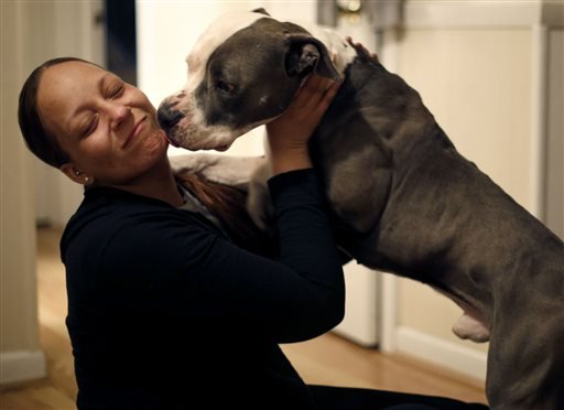 In this Thursday, March 24, 2016, photo, Ayana Kelly and her American pit bull terrier pit bull terrier, Gucci, are reunited in Norfolk Va.