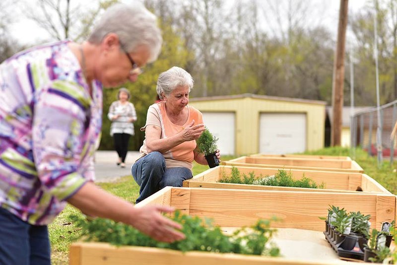 Volunteers Ann Camp, right, and Becky Ross work their plots in the community garden at 815 E. Center St. in Sheridan. The community garden is growing quickly in the Grant County area and will feature a farmers market in the near future.