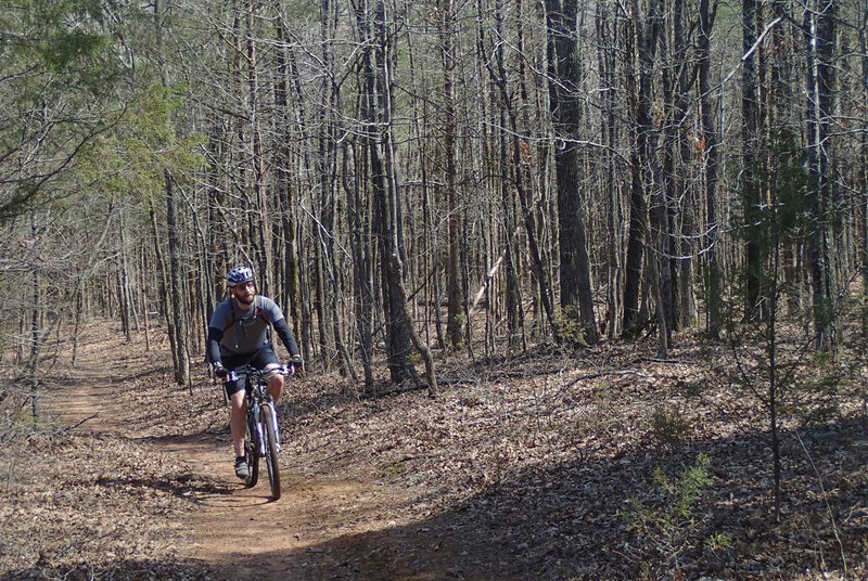 Mountain bike festival hosts guided rides, events