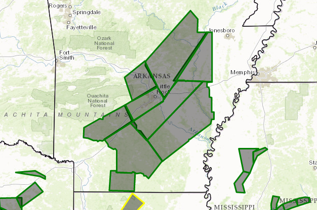 The areas in green were under a flash flood warning as of 8:45 p.m.