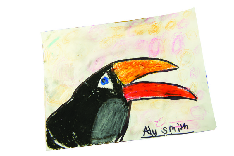 Aly Smith, a third-grader in Kinsey Smedley’s class at Lakeside Intermediate School in Hot Springs chose a toucan for Draw a Bird Day.