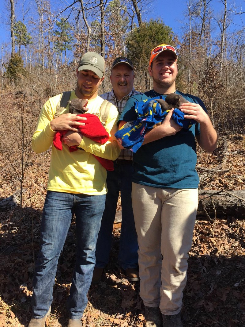 Phillip Necessary (left) and Jackson Bray hold black bear cubs while on the bear den trip with Tom Woodruff (center), a teacher at Rogers High School.