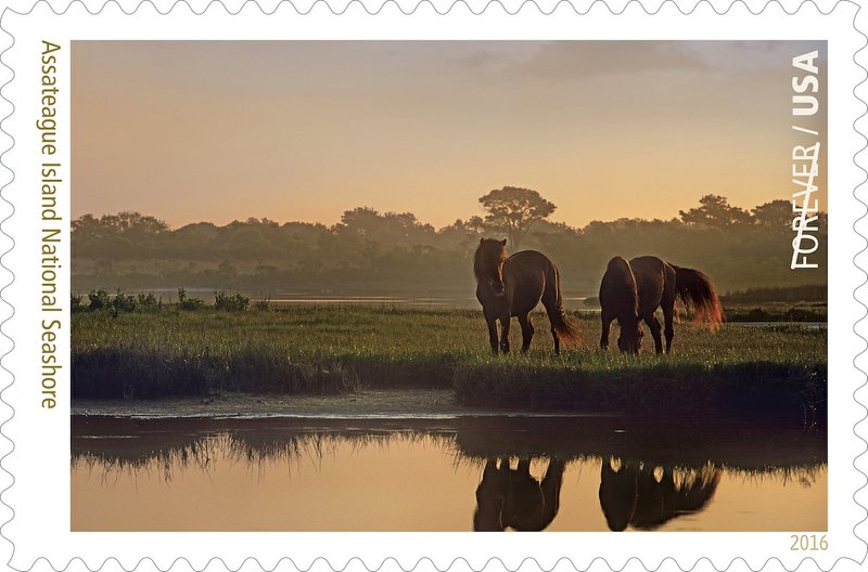 A forever stamp featuring Fayetteville photographer Tim Fitzharris' work along the Assateague Island National Seashore will be available this summer.