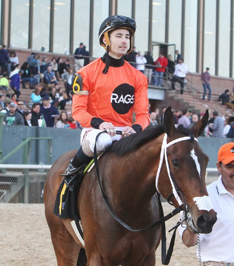 Jockey Channing Hill and Marquee Miss (6) head into the winner's circle after winning the Martha Washington Stakes at Oaklawn Park Saturday, February 6, 2016.
