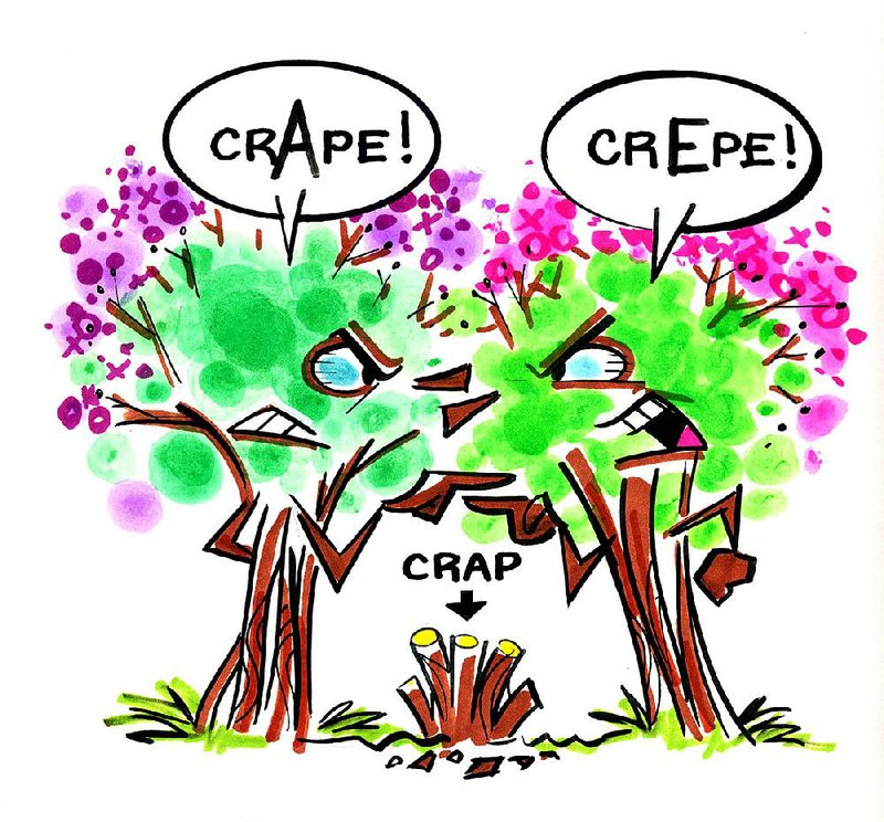 Arkansas Democrat-Gazette Crape Myrtle illustration.