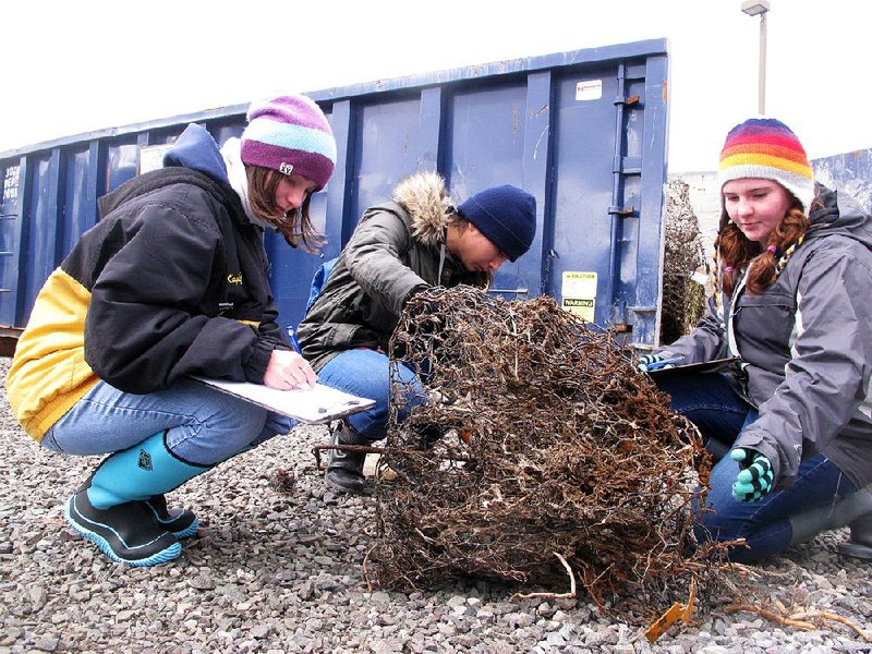 Kayla Johnston, (from left) Hallie Lazaro and Molly Robinson, students at New Jersey’s Marine Academy of Technology and Environmental Science, examine and record a discarded crab trap in February that was found in Barnegat Bay in Waretown, N.J. 