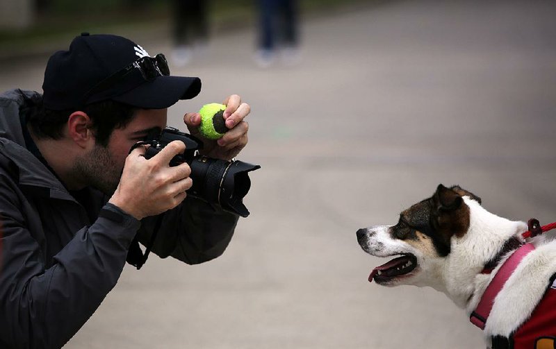 Elias Weiss Friedman, a blogger and photographer known as The Dogist, takes a portrait of Honey, a female shepherd mix, before his lecture Saturday as part of the Arkansas Literary Festival in downtown Little Rock. A variety of authors and presenters visited Little Rock this weekend for the festival. 