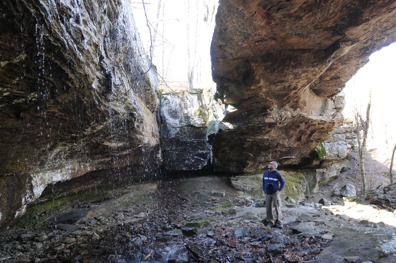 Gene Williams of the War Eagle area takes in the rocky majesty at Alum Cove Natural Bridge. It’s reached via an easy hike in the Ozark National Forest near Deer in Newton County. Erosion over millenia created the the formation and bluff-shelter caves that are nearby.