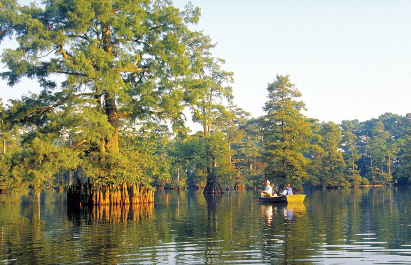 The oxbow lakes of southeast Arkansas’ White River National Wildlife Refuge are among The Natural State waters that provide scenic settings for the adventurous angler in search of crappie.