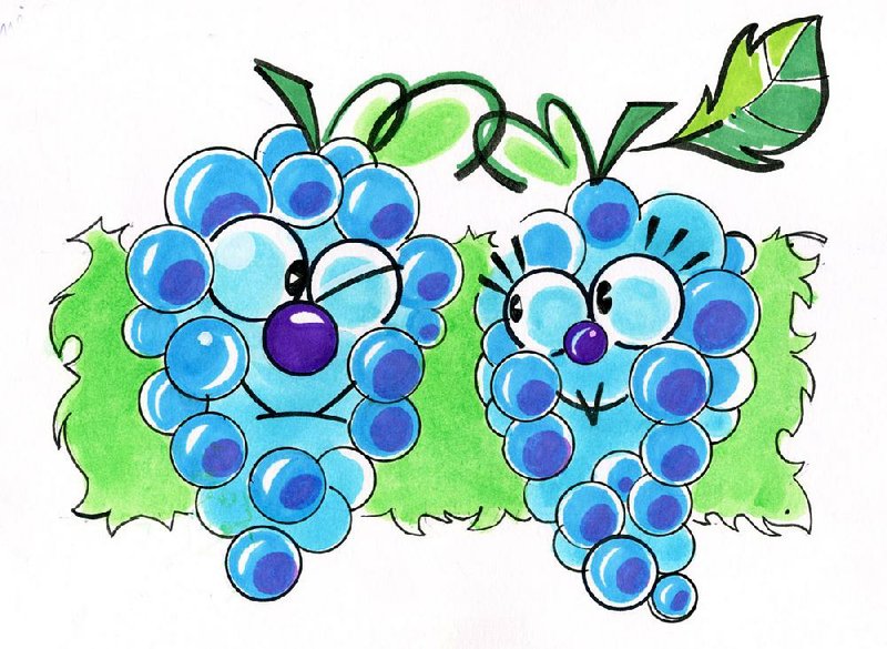 Arkansas Democrat-Gazette grapes illustration.