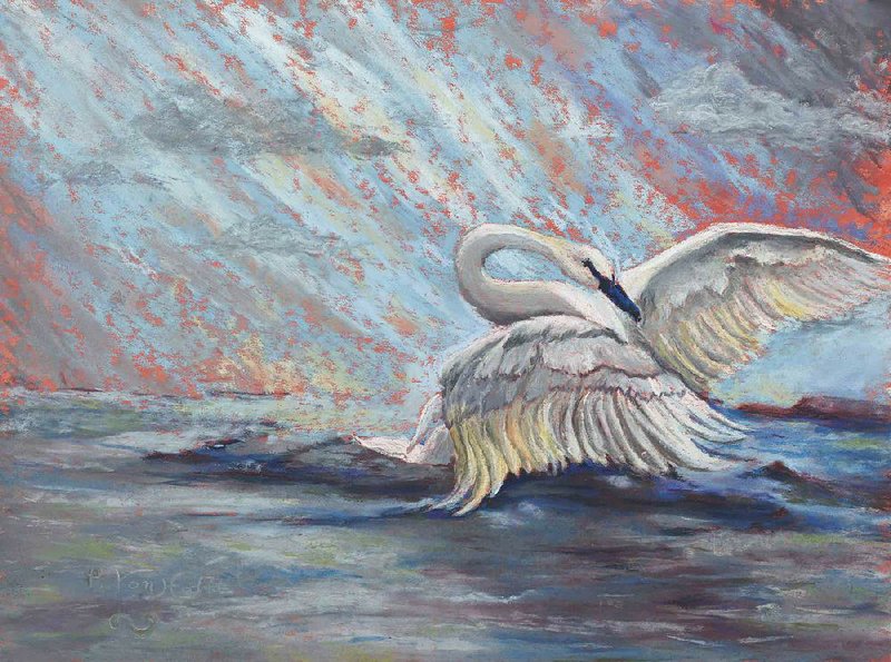 Swan in a Storm