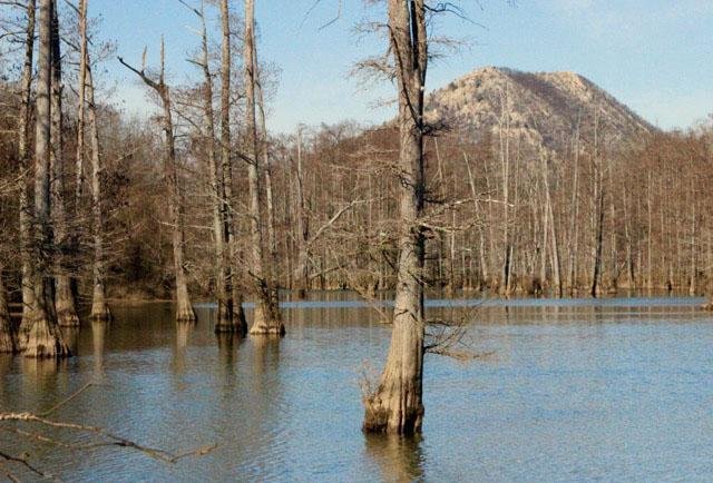 The Nature Conservancy’s trail at Ranch North Woods Preserve boasts views of the Little Maumelle River and Pinnacle Mountain.