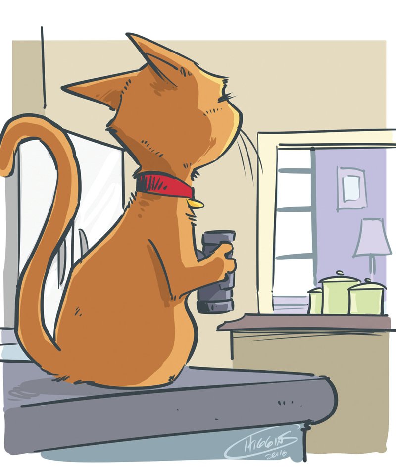 Arkansas Democrat-Gazette countertop cat illustration.