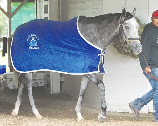 Kurtis Coady/Coady Photography via AP MORNING WALK: Kentucky Derby hopeful Mohaymen is walked in the barn area at Churchill Downs on Tuesday, four days before the $2 million race. A full field of 20 3-year-olds is expected for the 142nd running.