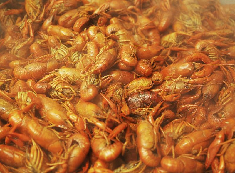 Crawfish will be dinner and entertainment at the Hat Club Crawfish Salute. 