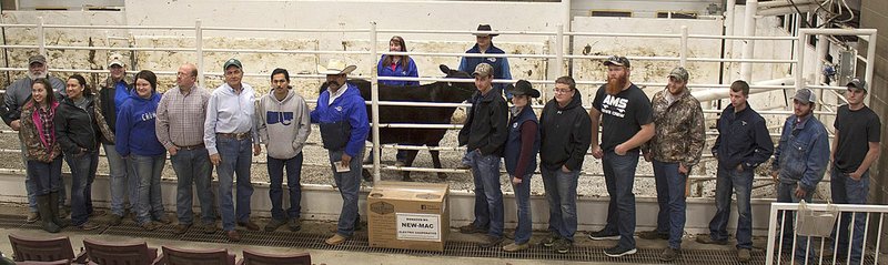 PHOTO SUBMITTED Crowder College Aggies stand in the foreground of an Angus heifer on Wednesday, April 11, at the Joplin Stockyards. The heifer was auctioned off to benefit the Crowder College Agriculture Department.