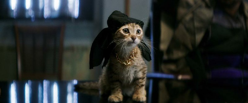 The comic duo Keegan-Michael Key and Jordan Peele play friends trying to save the stolen cat Keanu in Warner Bros.’ new film Keanu. It came in third at last weekend’s box office and made about $9.5 million.