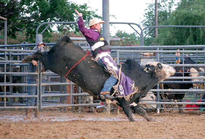 Photo submitted Between 40 and 50 professional bull riders from the World Senior Professional Bull Riding Association will be competing in Siloam Springs this Saturday to benefit Ability Tree.