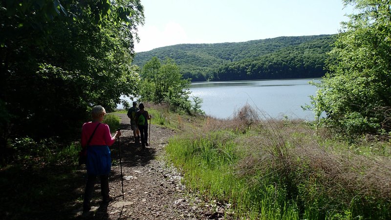 A hike on the Ozark Highlands Trail and Shepherd Springs Loop offers views of Lake Fort Smith and surrounding forest.