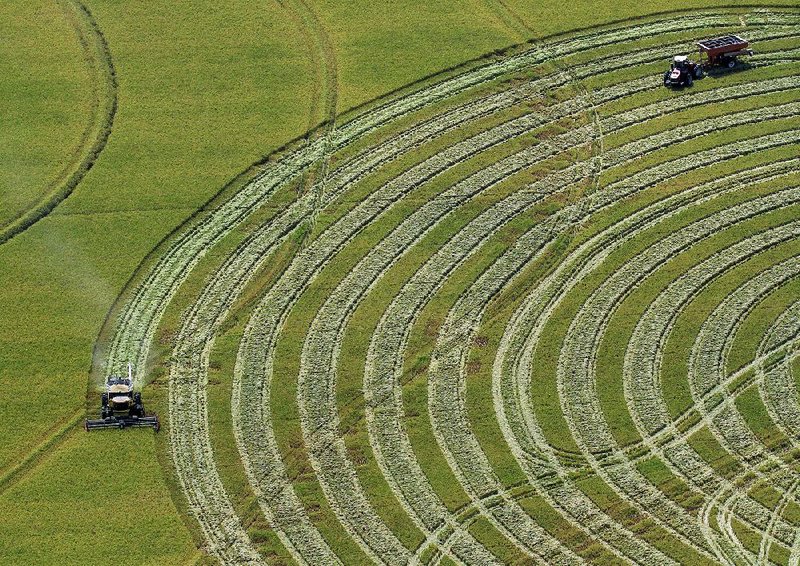 Two farmers harvest rice in September near Stuttgart. Last year, Arkansas farmers planted about 1.39 million acres of rice and a planting of 1.7 million acres is expected this year.